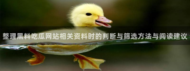 黑料爆料热点网