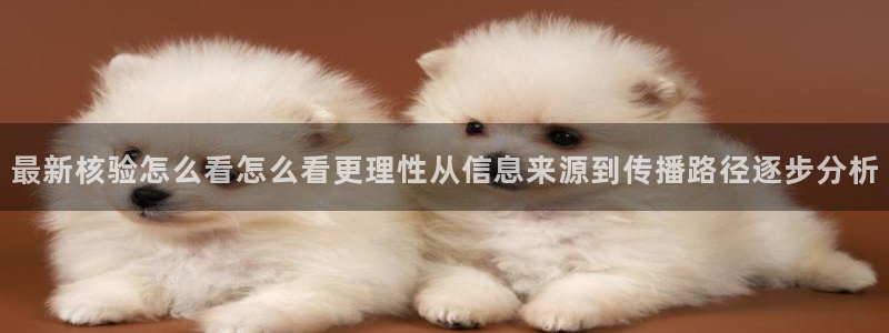 热门资讯爆料